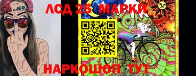 шишки Гай