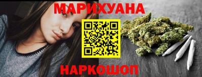 шишки Гай
