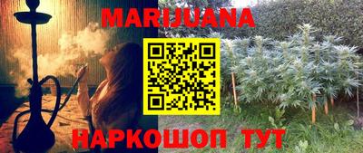 шишки Гай