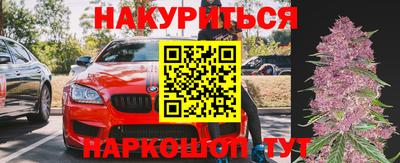 шишки Гай