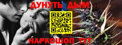 шишки Гай