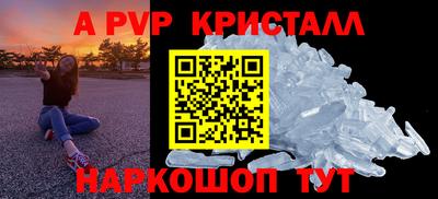 шишки Гай