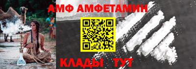шишки Гай
