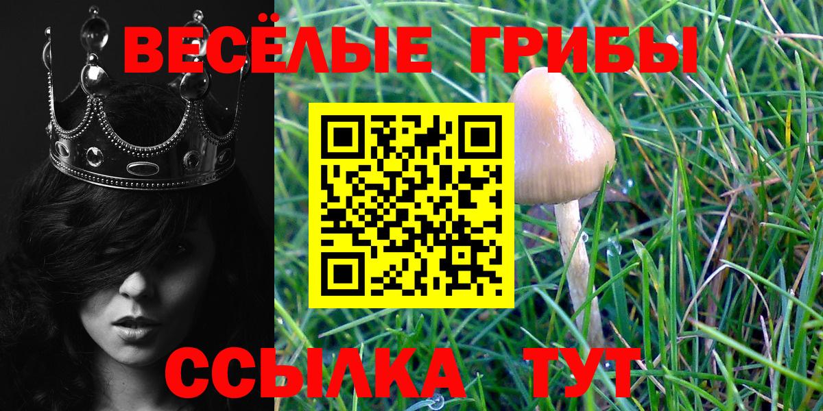 Галлюциногенные грибы Magic Shrooms Вятские Поляны