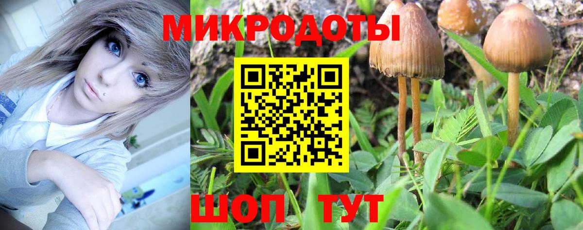 Галлюциногенные грибы мицелий  Вход с VPN  Вятские Поляны 